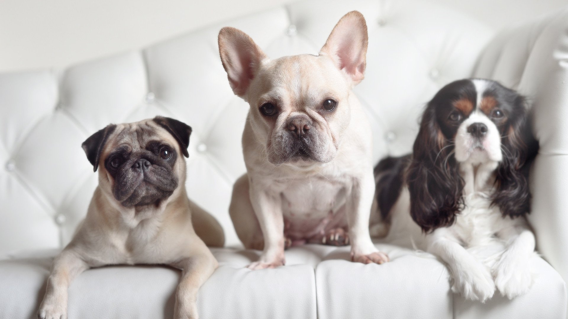 【联盟领跑者】天使队豪取五连胜，天使战队联合创始人